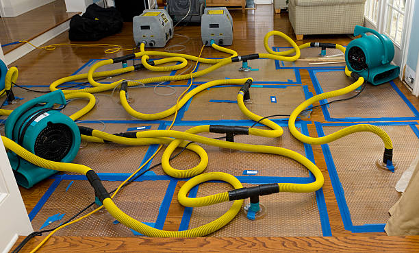 Professional Sewage Cleanup technician working in Byron, MI