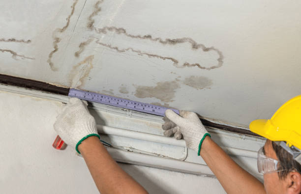 Affordable Water Damage Repair solutions in Byron, MI